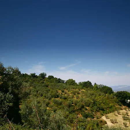 Casa Il Tiglio * Montefalco